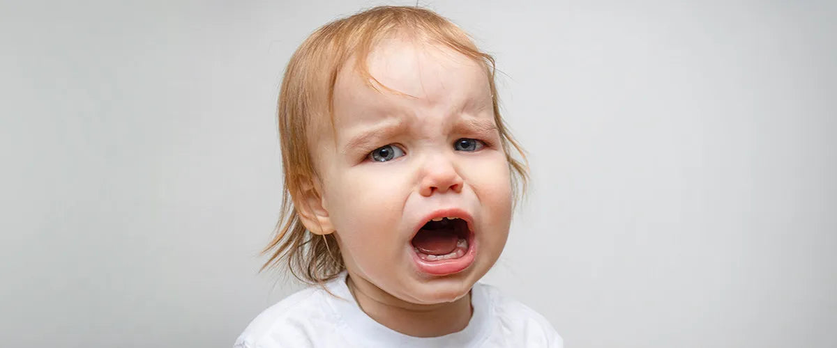 Toothache relief and prevention