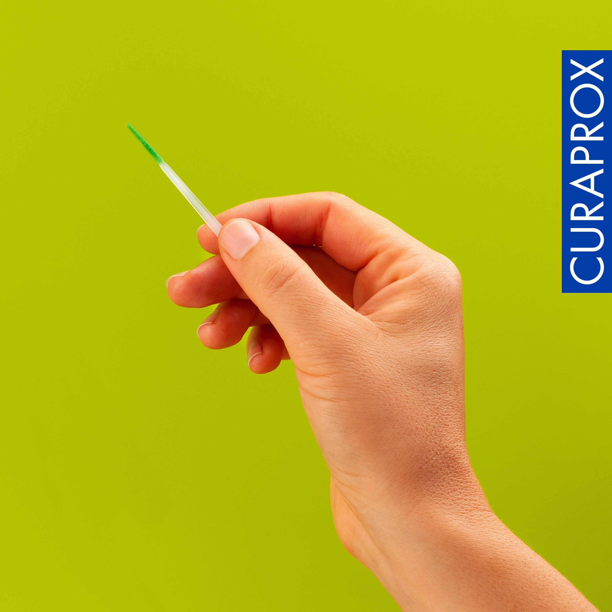 TP 930 Brushpic, 10pcs