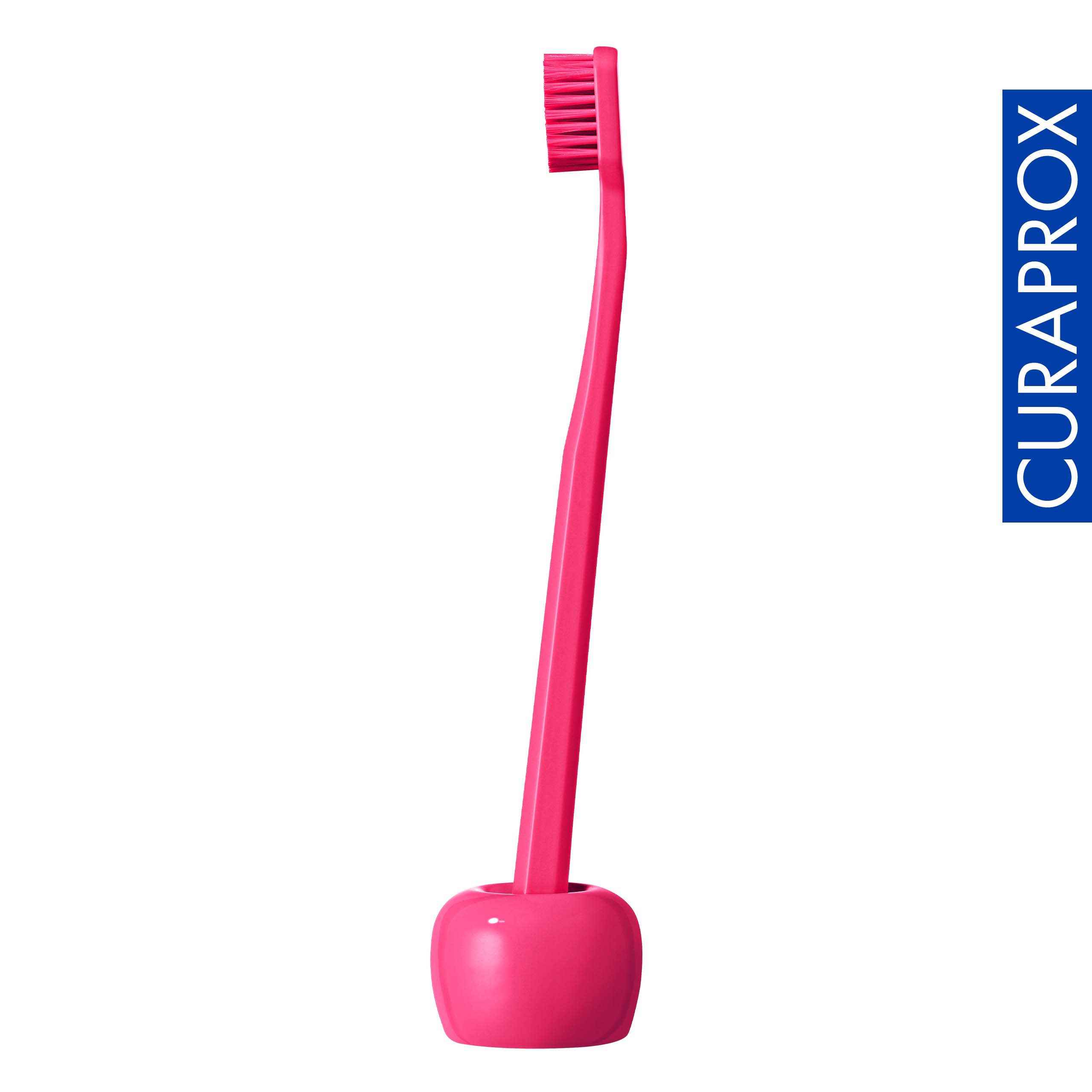 Toothbrush Holder, Magenta