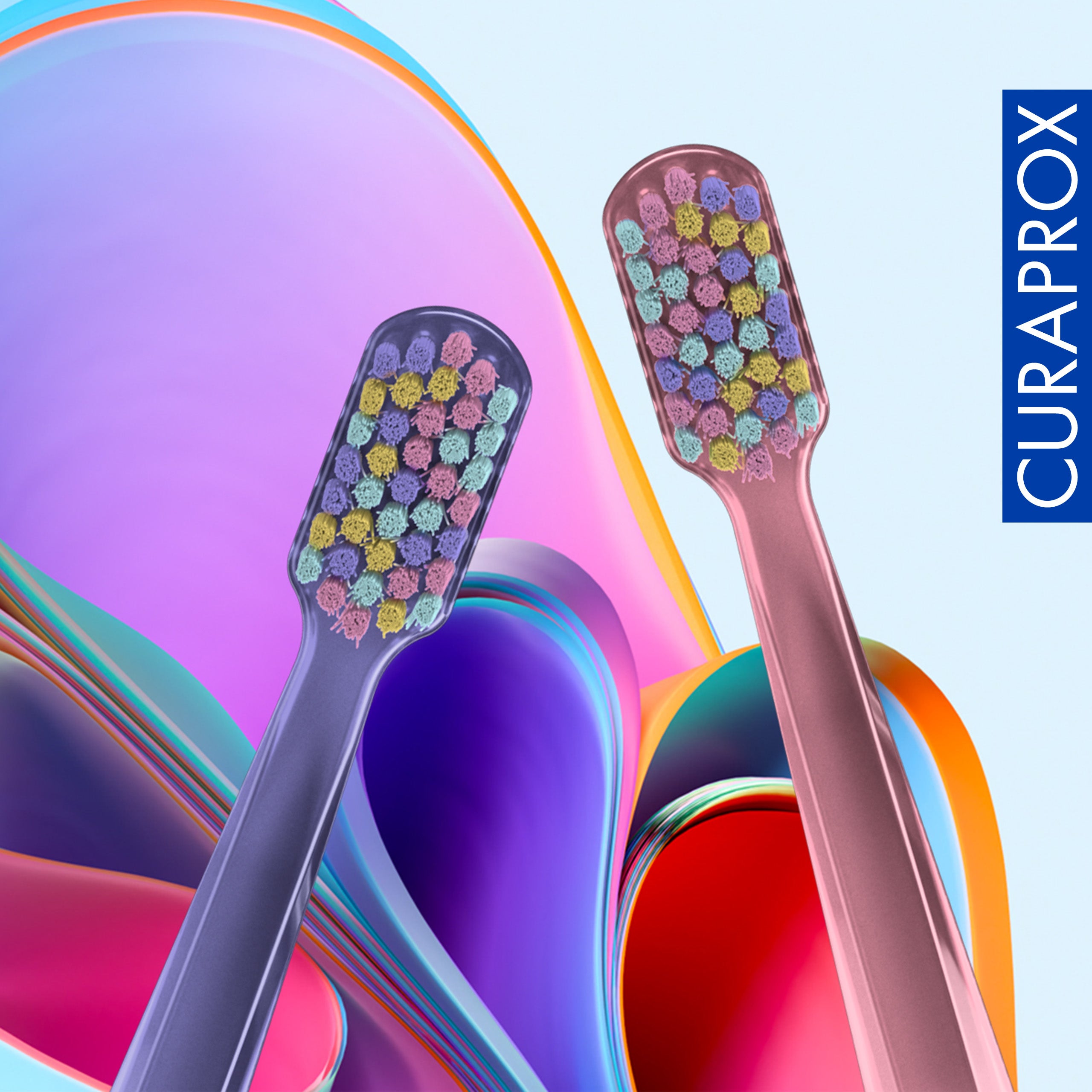 CS 5460 Colorful Curls Edition, 2 pcs