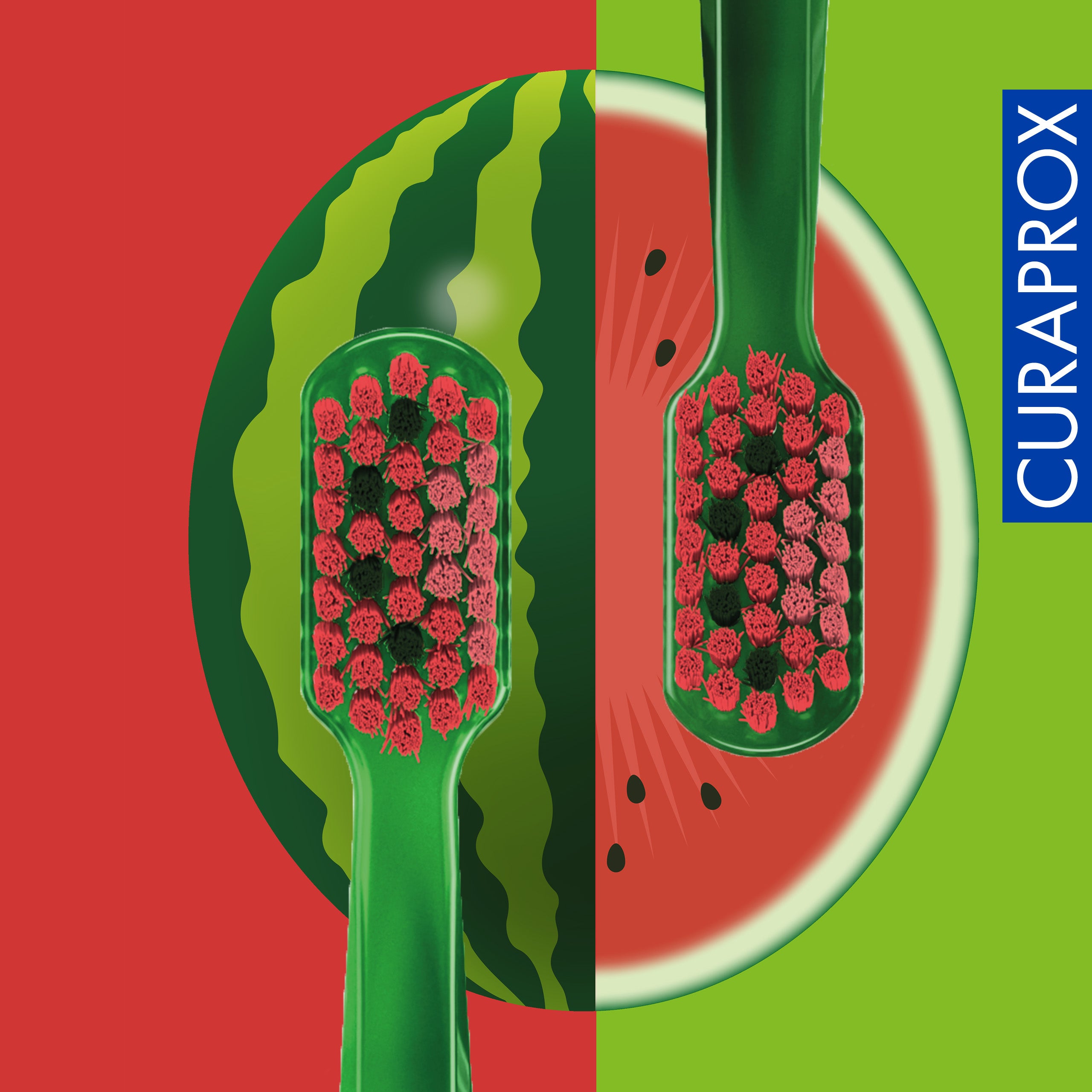 CS 5460 Watermelon Summer Edition, 2 pcs
