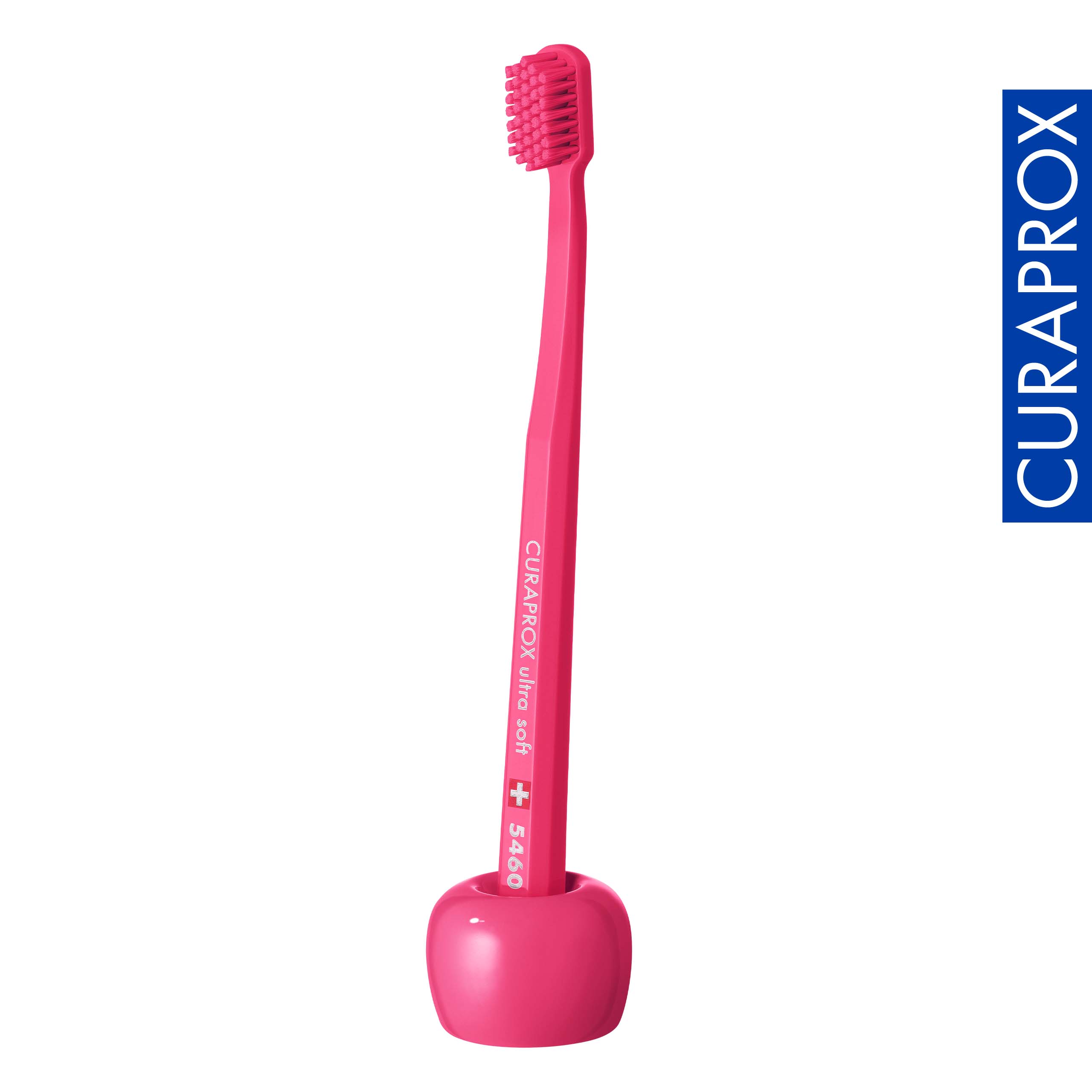 Toothbrush Holder, Magenta