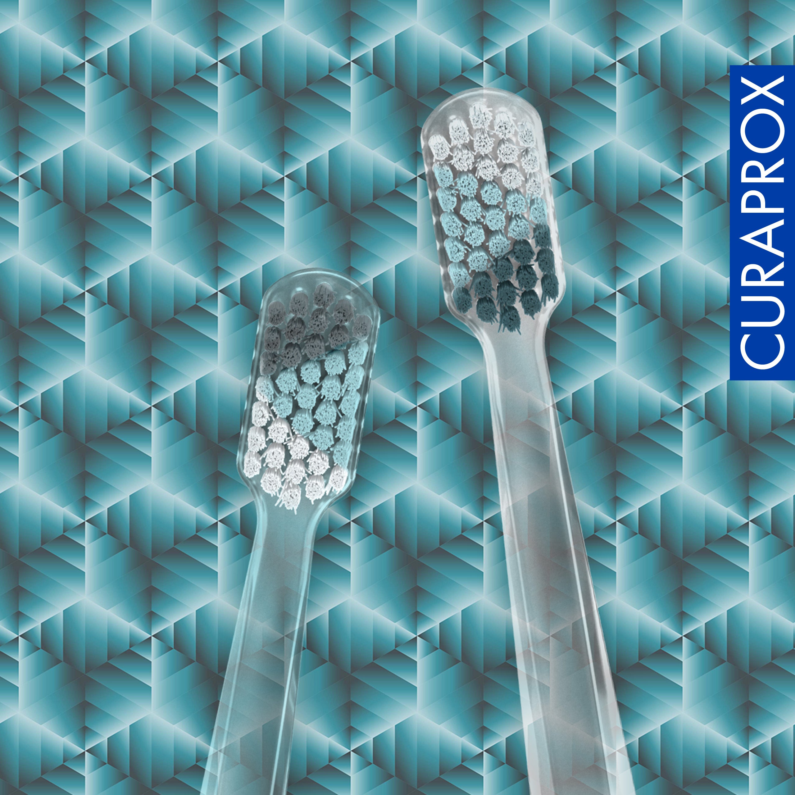 CS 5460 Winter Edition 2022, 2 pcs