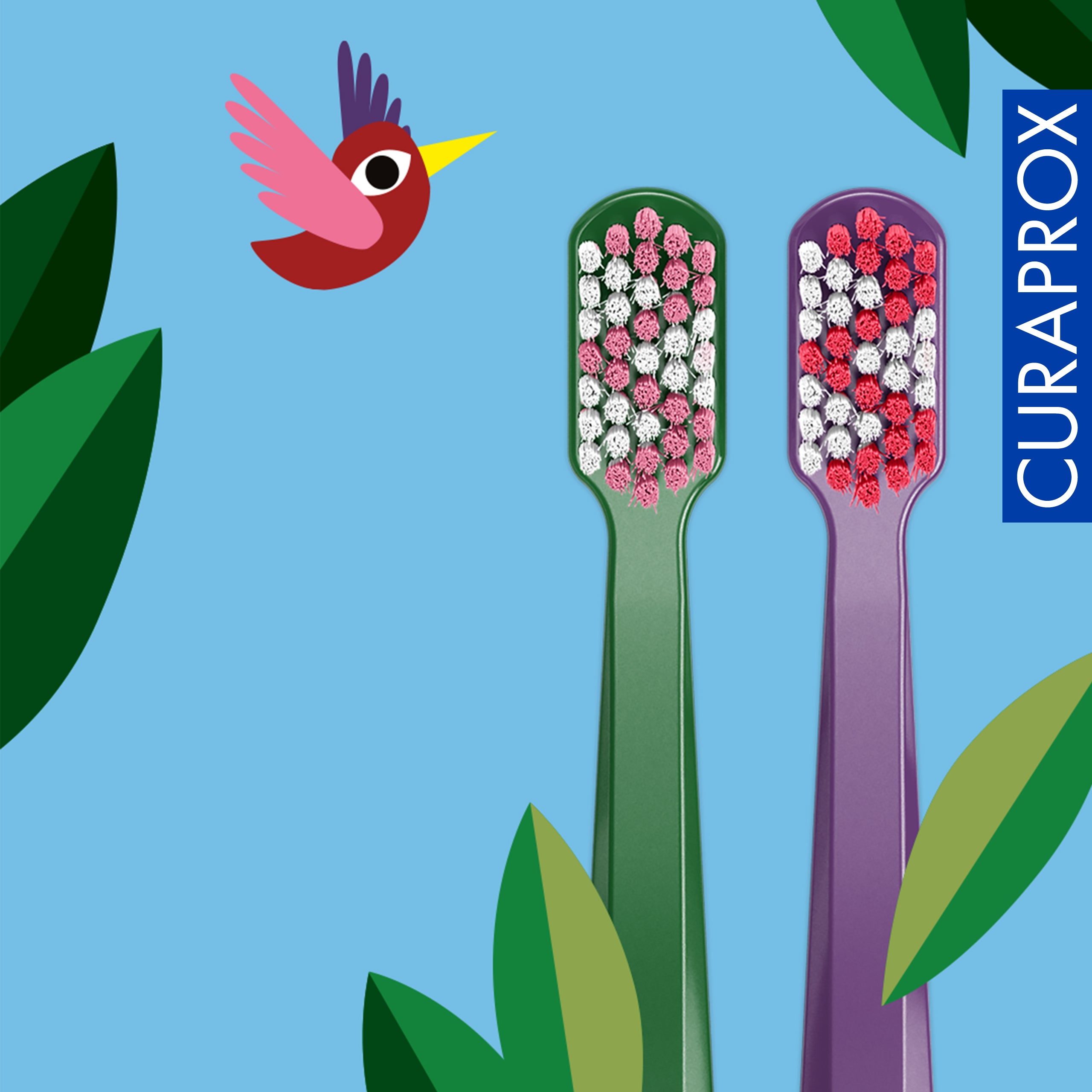 CS 5460 Recycled Edition 2024, 2 pcs