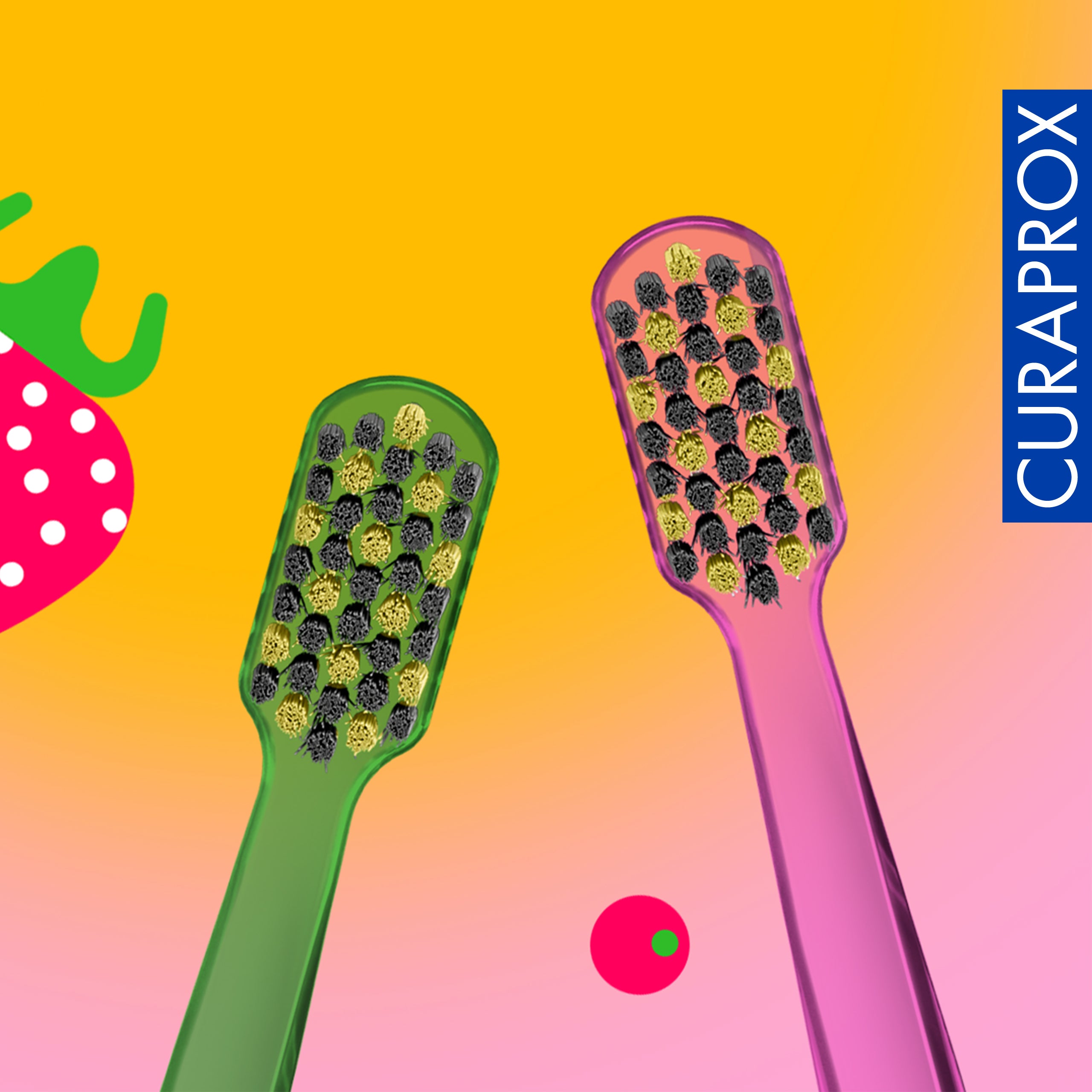 CS 5460 Summer Edition 2025, 2 pcs