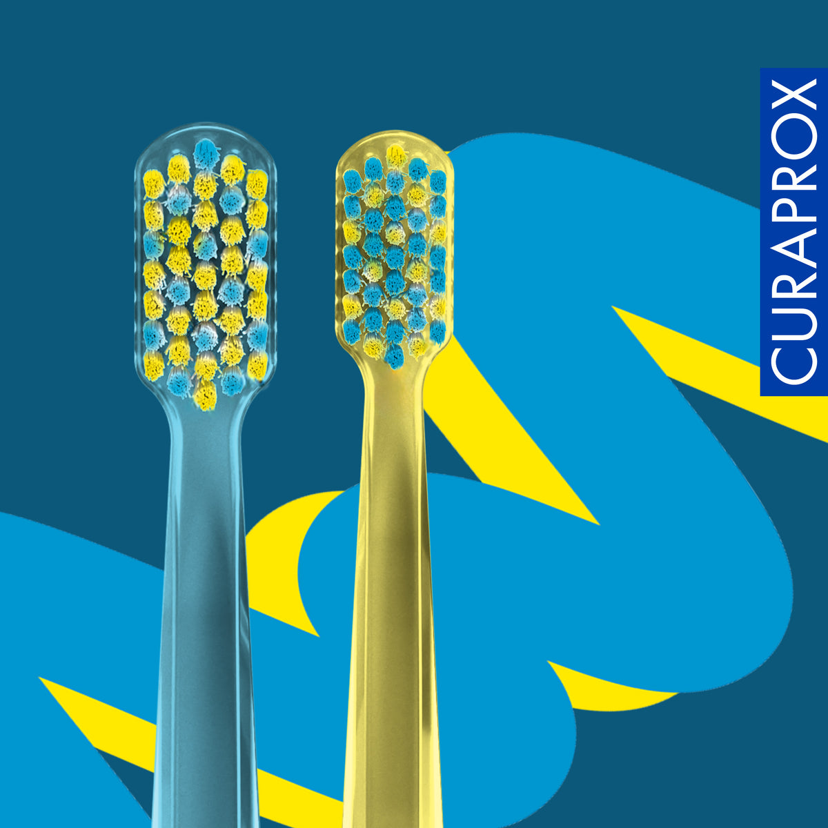 CS 5460 Duo Health & Happiness Edition 2026, 2 pcs